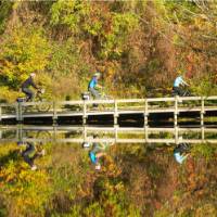 A quiet section of the Rhone Cycle way in France