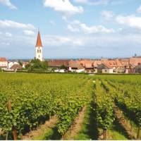 Village in Alsace, France | Ewen Bell