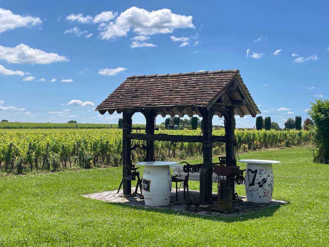 Highlights from walking among the vineyards of Bordeaux |  Tali Emdin