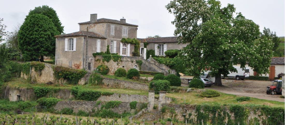 Vinyard at Saint croix de mont, Bordeaux wine region in France |  <i>Deb Wilkinson</i>