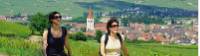 Walking through the scenic Alsace region of France