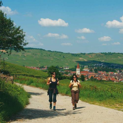 Calendrier Trail Alsace 2023 Alsace Self Guided Walking Holiday | France Walking Tours