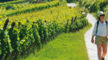 Walking in Alsace,Espace Randonnee The picturesque region of Alsace is perfectly suited to self guided walking