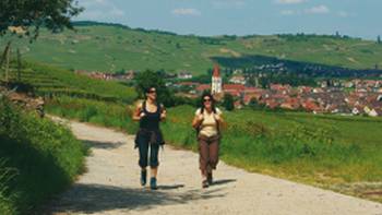 Walking in Alsace,Espace Randonnee Walkers in Alsace