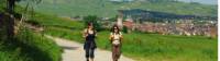 Walkers in Alsace