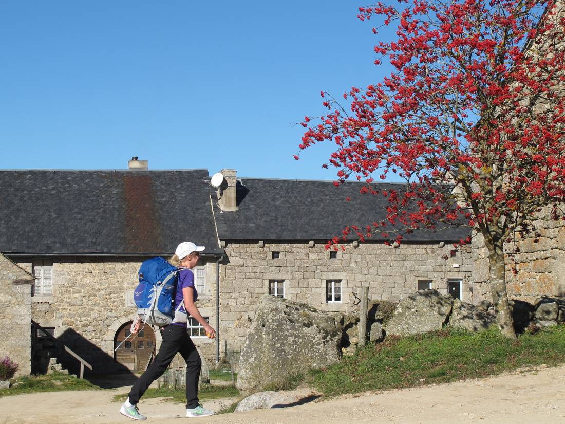 Walking in the Auvergne in Autumn |  <i>Sue Badyari</i>