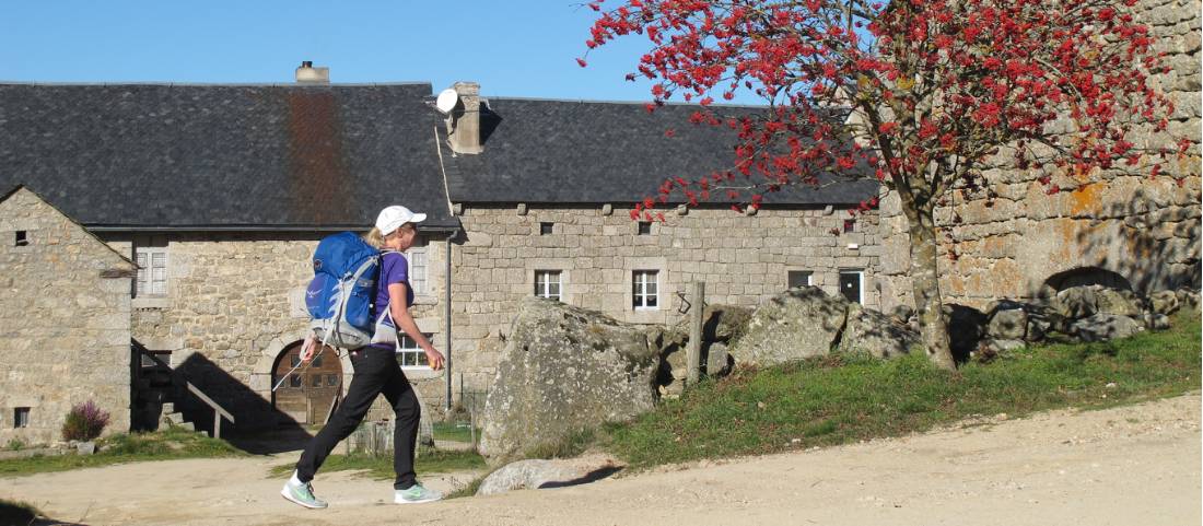 Walking in the Auvergne in Autumn |  <i>Sue Badyari</i>