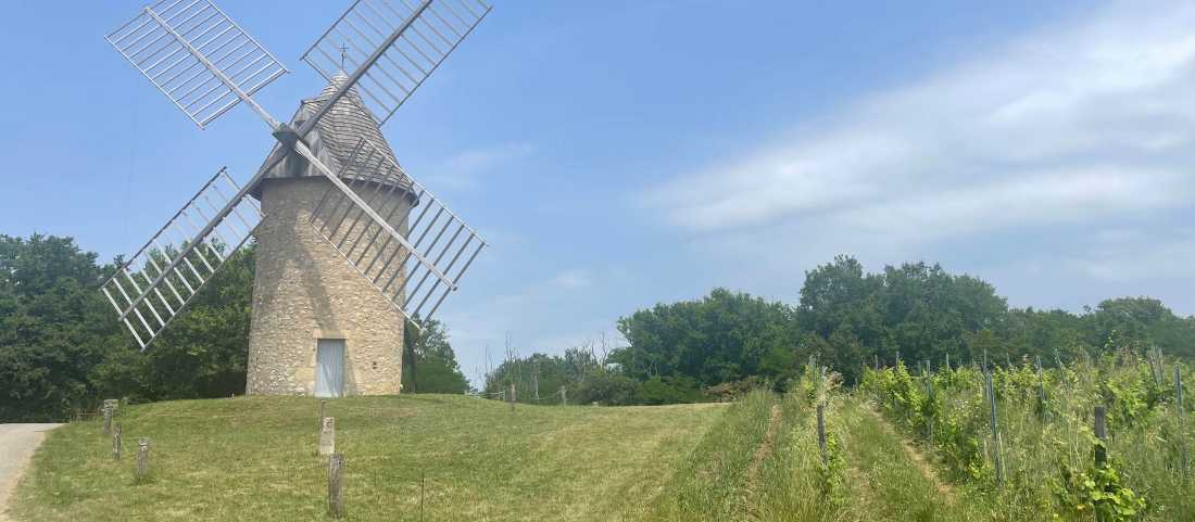 A windmill in Bordeaux |  Tali Emdin