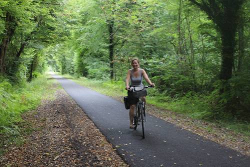 cyclist on a tree lined cycle way in Bordeaux&#160;-&#160;<i>Photo:&#160;Jaclyn Lofts</i>