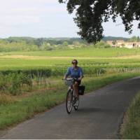 Cycling past vineyards in Bordeaux | Jaclyn Lofts