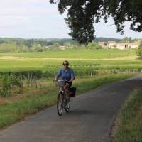 Cycling past vineyards in Bordeaux | Jaclyn Lofts