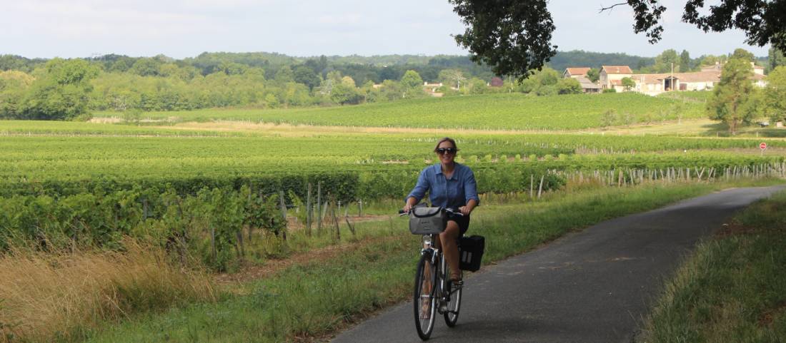 Cycling past vineyards in Bordeaux |  <i>Jaclyn Lofts</i>