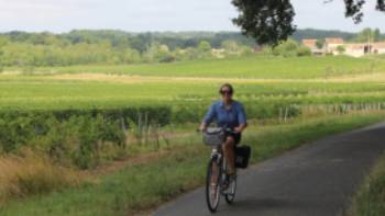 Cycling past vineyards in Bordeaux