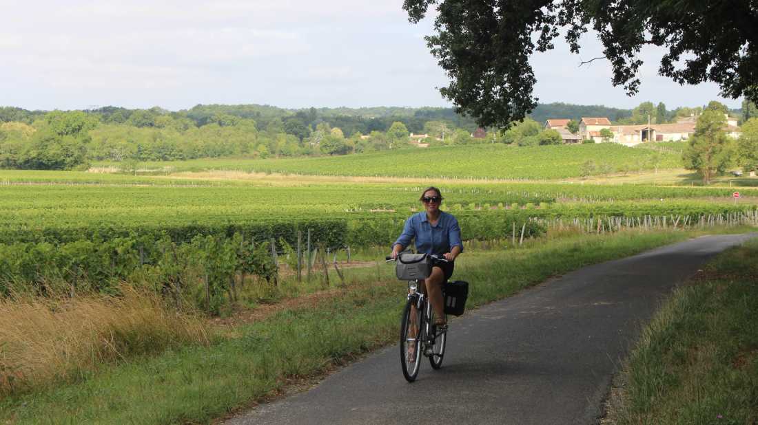 Cycling past vineyards in Bordeaux |  Jaclyn Lofts