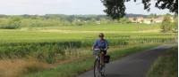 Cycling past vineyards in Bordeaux |  <i>Jaclyn Lofts</i>