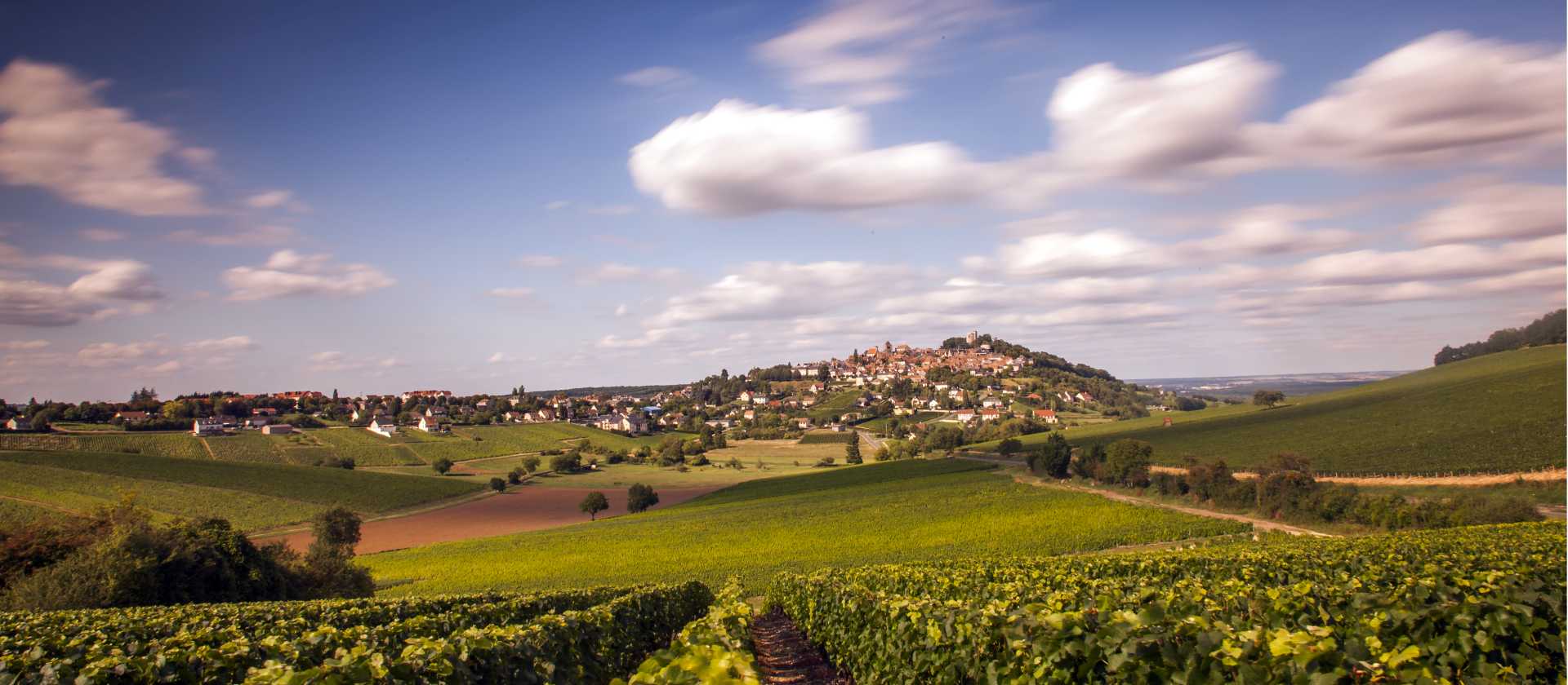View of the Sancerre vineyards