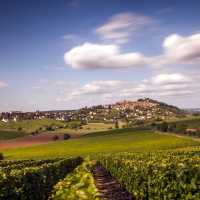 View of the Sancerre vineyards