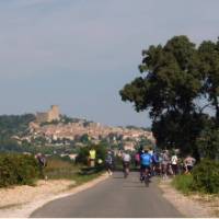 Cyclists in Provence