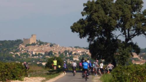 Cyclists in Provence
