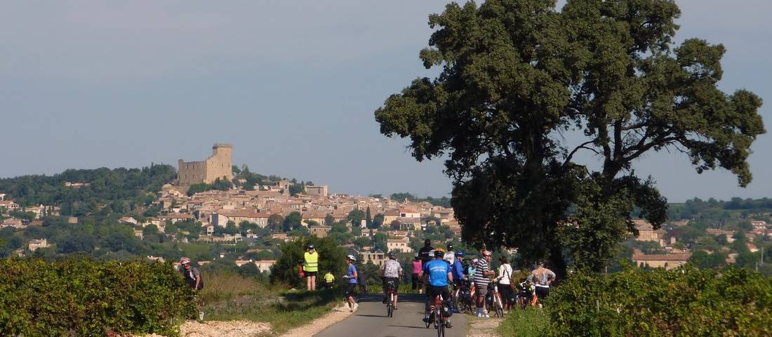 Cyclists in Provence