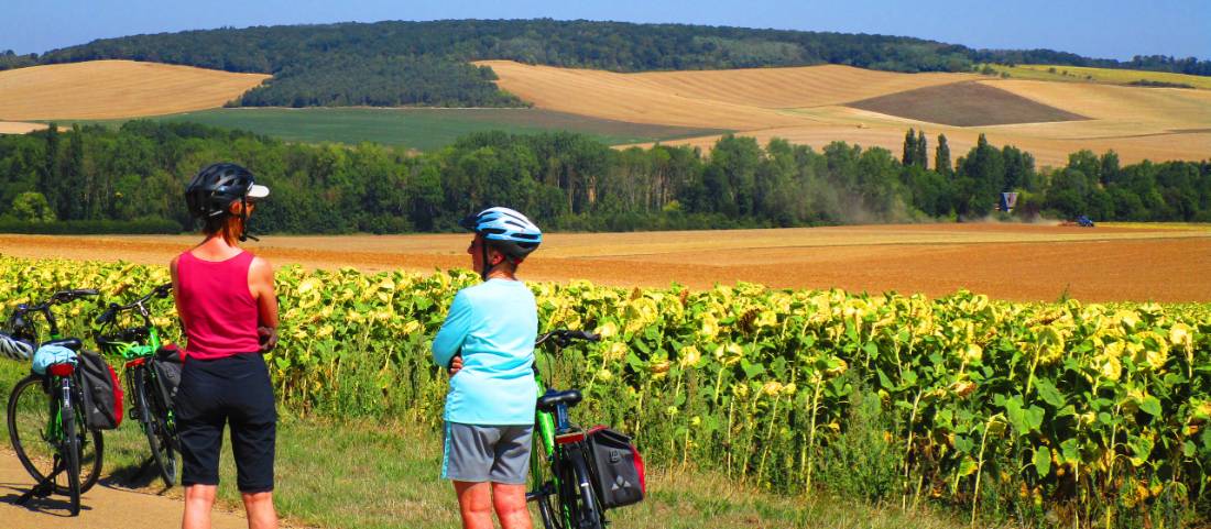 Cyclists enroute to Sens in northern Burgundy