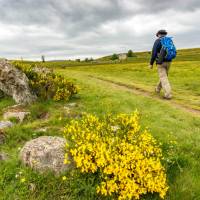 Walking the inspiring Camino trail