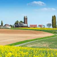 The trail to Thiepval