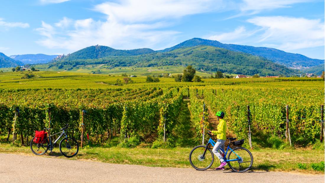 Exploring the Alsatian Wine Route in France