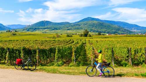 Exploring the Alsatian Wine Route in France