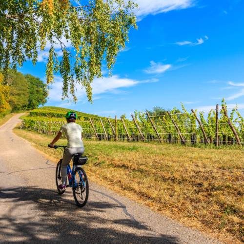 Alsace Wine Route Cycle Tour Alsace 5-Day Bike Holiday