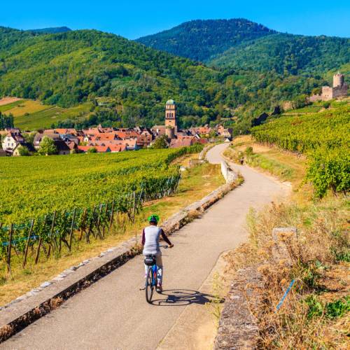Alsace By Bike Tour Alsace 8 Day Self Guided Cycling Trip