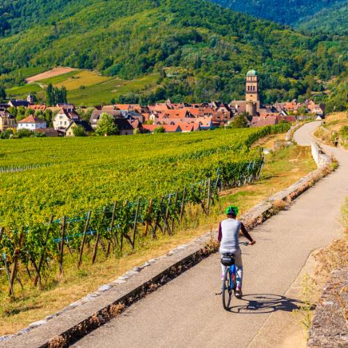 Cycle past vineyards to Kaysersberg village in Alsace