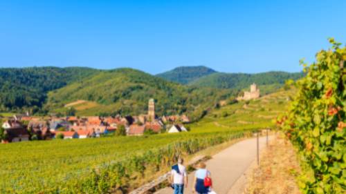 Walking the Alsatian Wine Route in France