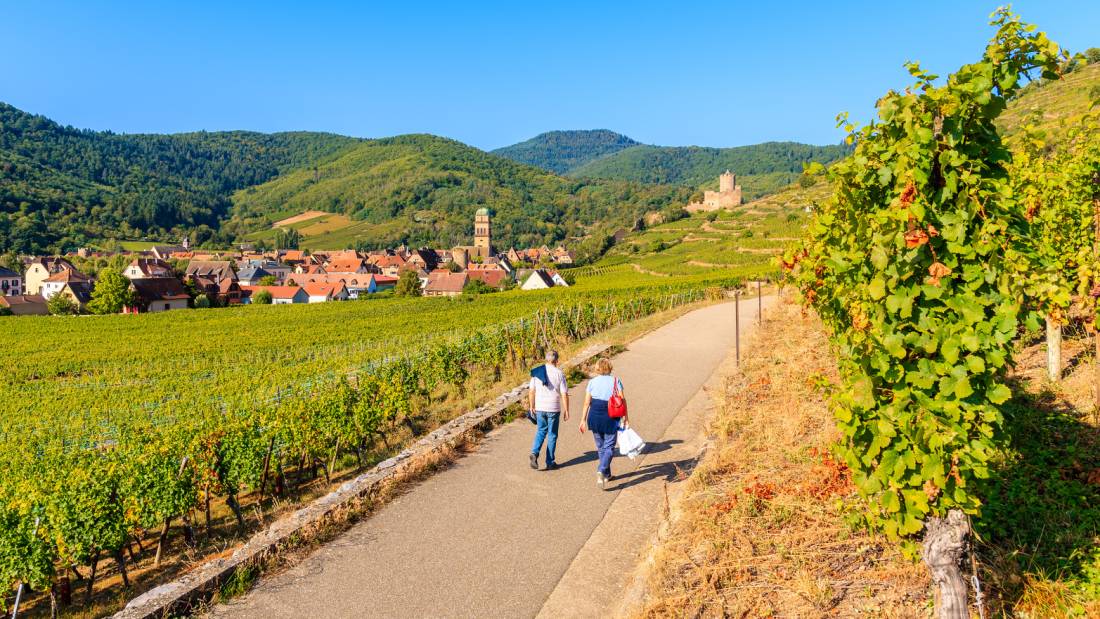 Walking the Alsatian Wine Route in France