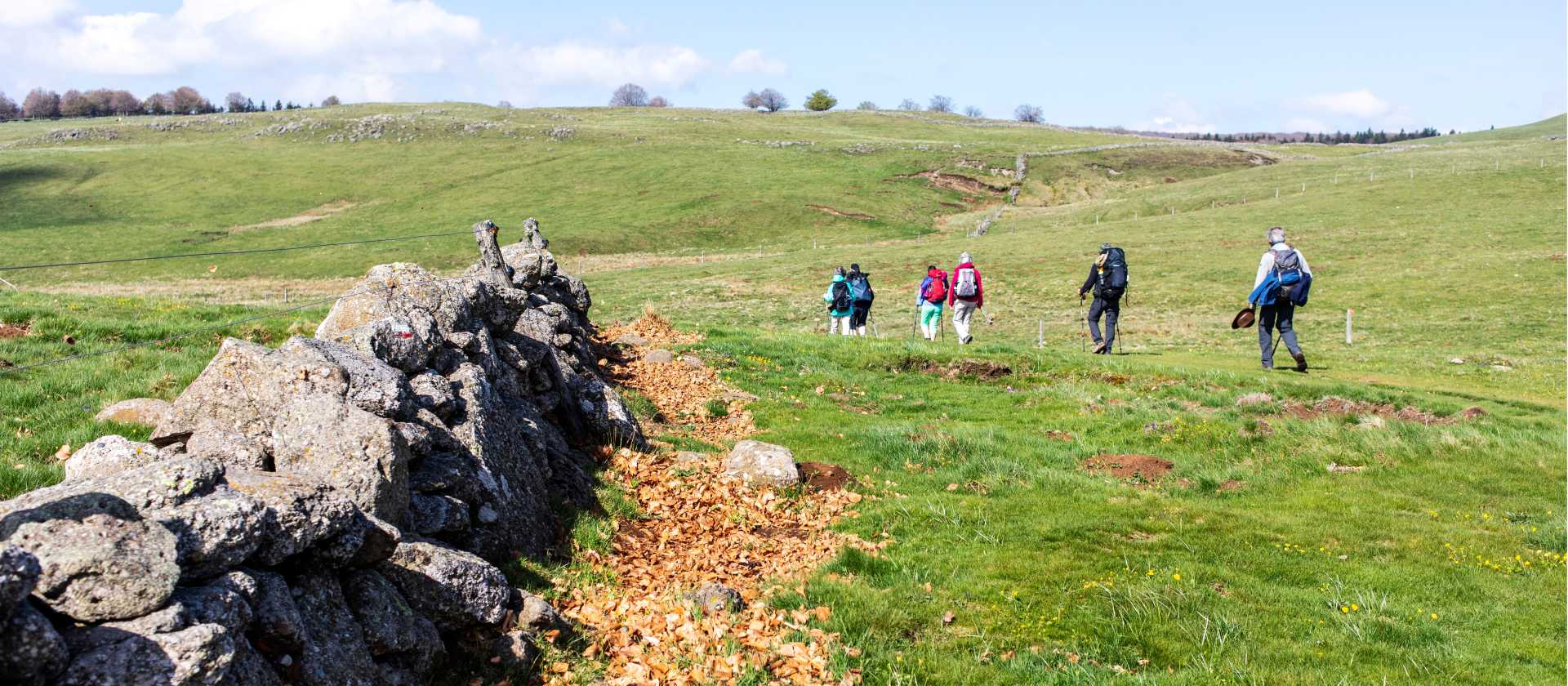 Walking along the Le Puy Camino