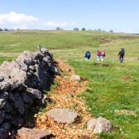 Walking along the Le Puy Camino