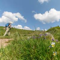Hiking the Vosges mountain trails in France