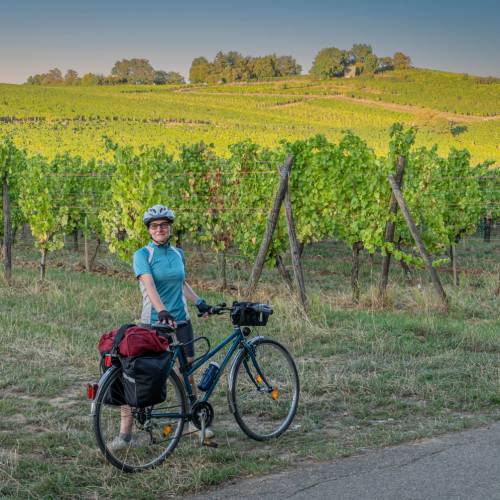 Basel To Strasbourg By Bike Self-Guided Cycling Tour