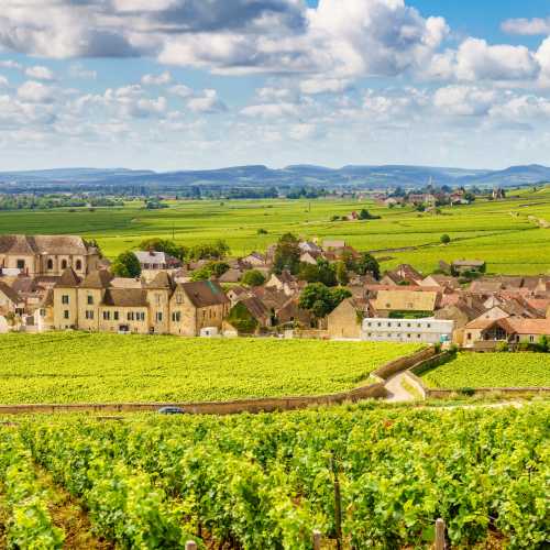 Stunning views of vineyards near the town of Pommard