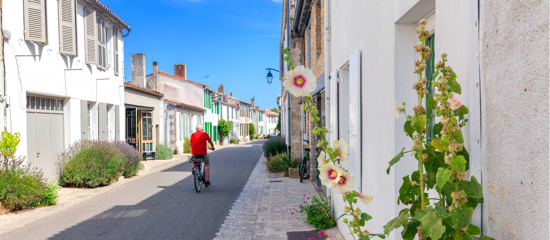 Explore French islands by bike