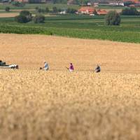 Cycling through the Western Front | Milo Profi