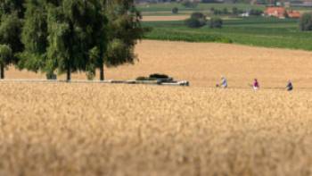 Cycling through the Western Front | Milo Profi