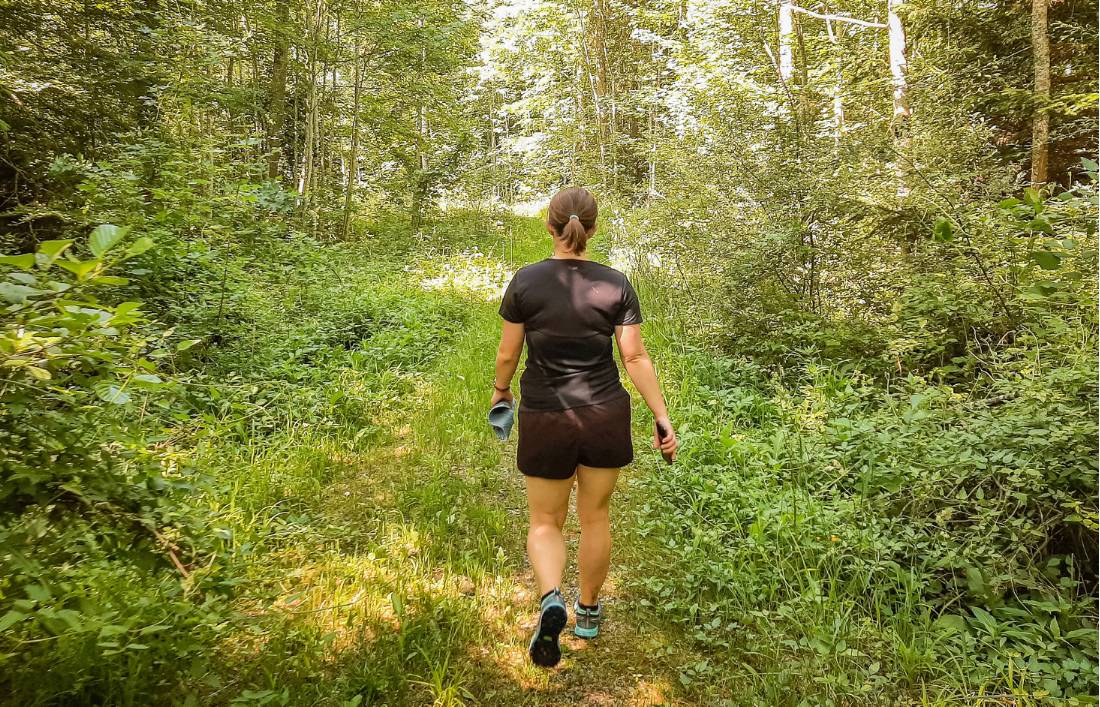 Hiking through a Bavarian forest |  <i>Sam Smith</i>