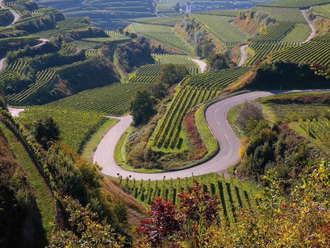 Vineyards near Breisgau alongside the Black Forest |  <i>Ernst Wrba</i>