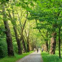 Cycling near Lake Constance | Joe Zappia