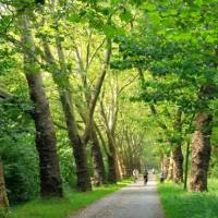 Cycling near Lake Constance | Joe Zappia