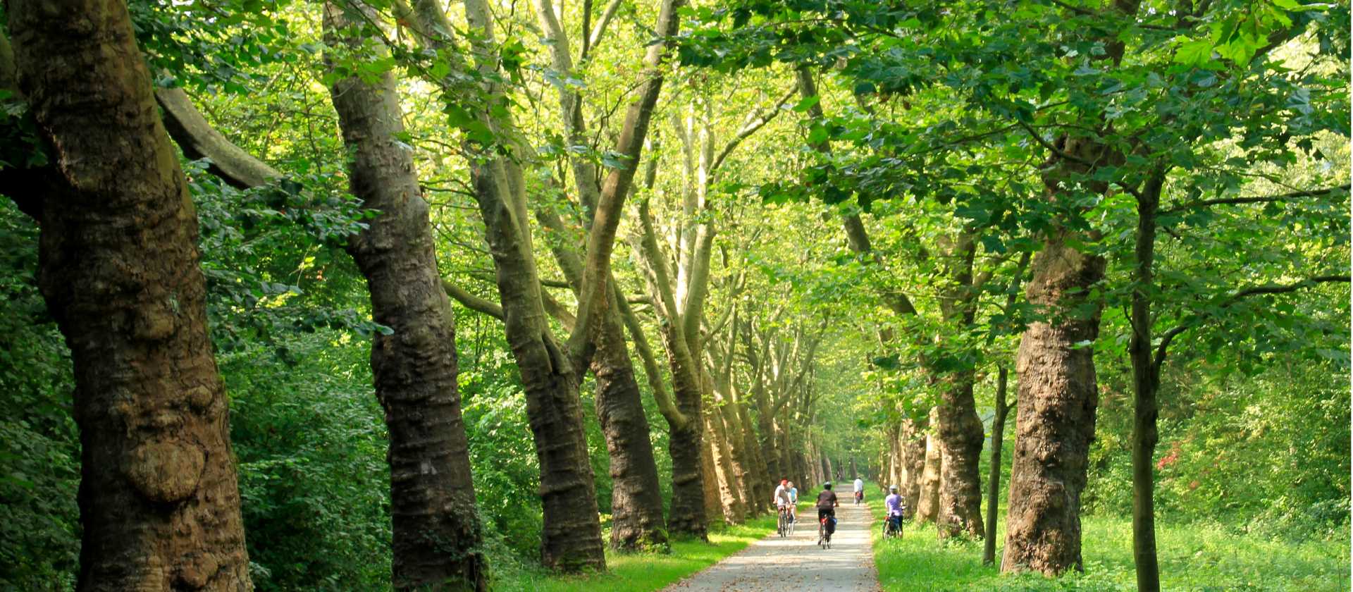 Cycling near Lake Constance | Joe Zappia