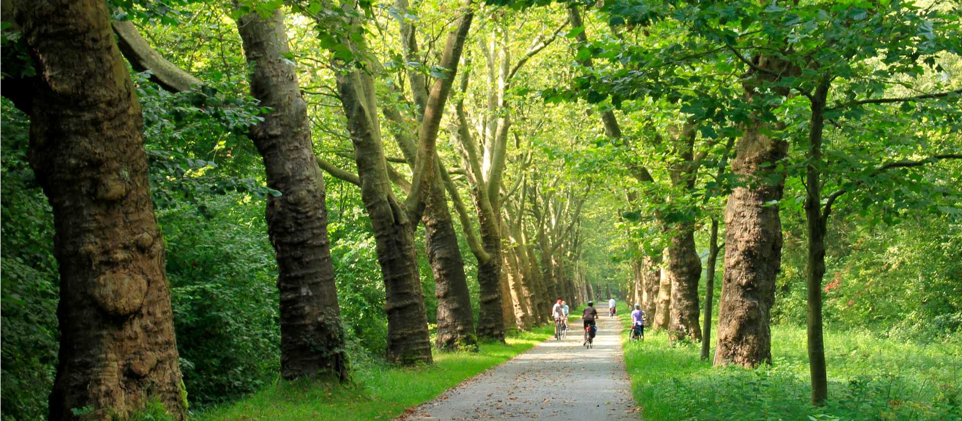 Cycling near Lake Constance | Joe Zappia