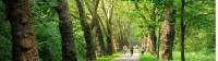 Cycling near Lake Constance |  <i>Joe Zappia</i>