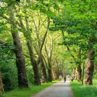 Cycling near Lake Constance | Joe Zappia